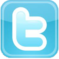 Twitter logo twitter
